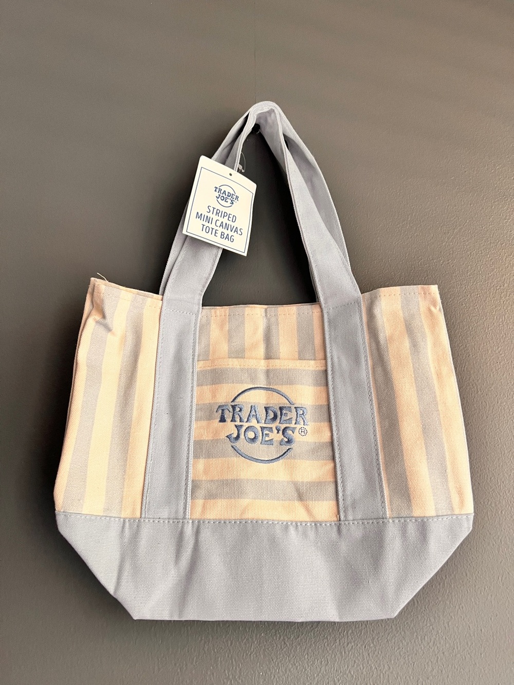Trader Joe's Striped Mini Canvas Tote Bag in Blue and Cream